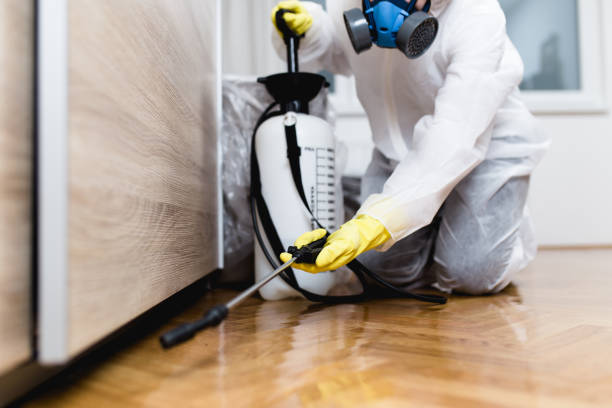 Best Termite Control Services  in Underwood Petersville, AL