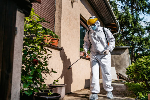 Best Ant Control Services  in Underwood Petersville, AL