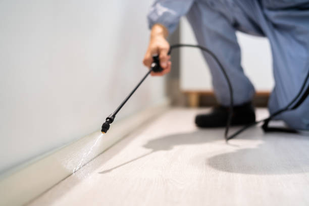 Best Local Pest Control Services  in Underwood Petersville, AL