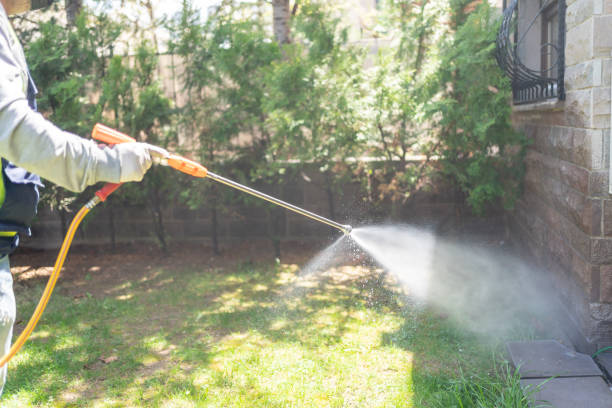 Best Residential Pest Control  in Underwood Petersville, AL