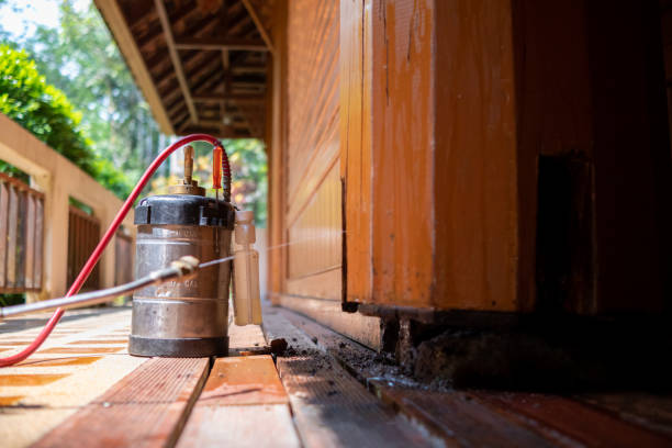 Best Termite Control Services  in Underwood Petersville, AL