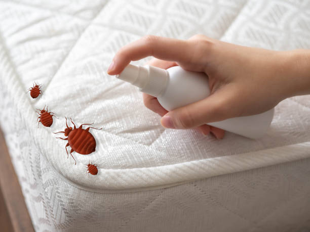Best Flea Control Services  in Underwood Petersville, AL