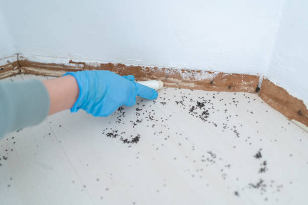 Best Exterminator Services  in Underwood Petersville, AL