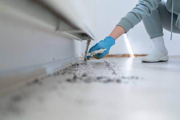 Best Best Pest Control Companies  in Underwood Petersville, AL