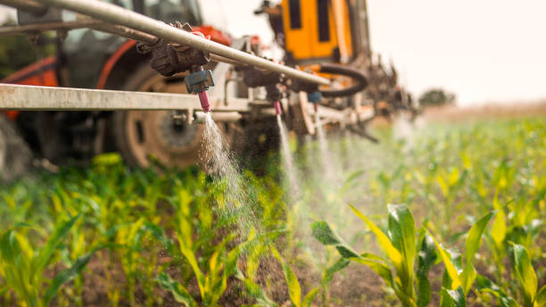 Insect Control in Underwood Petersville, AL
